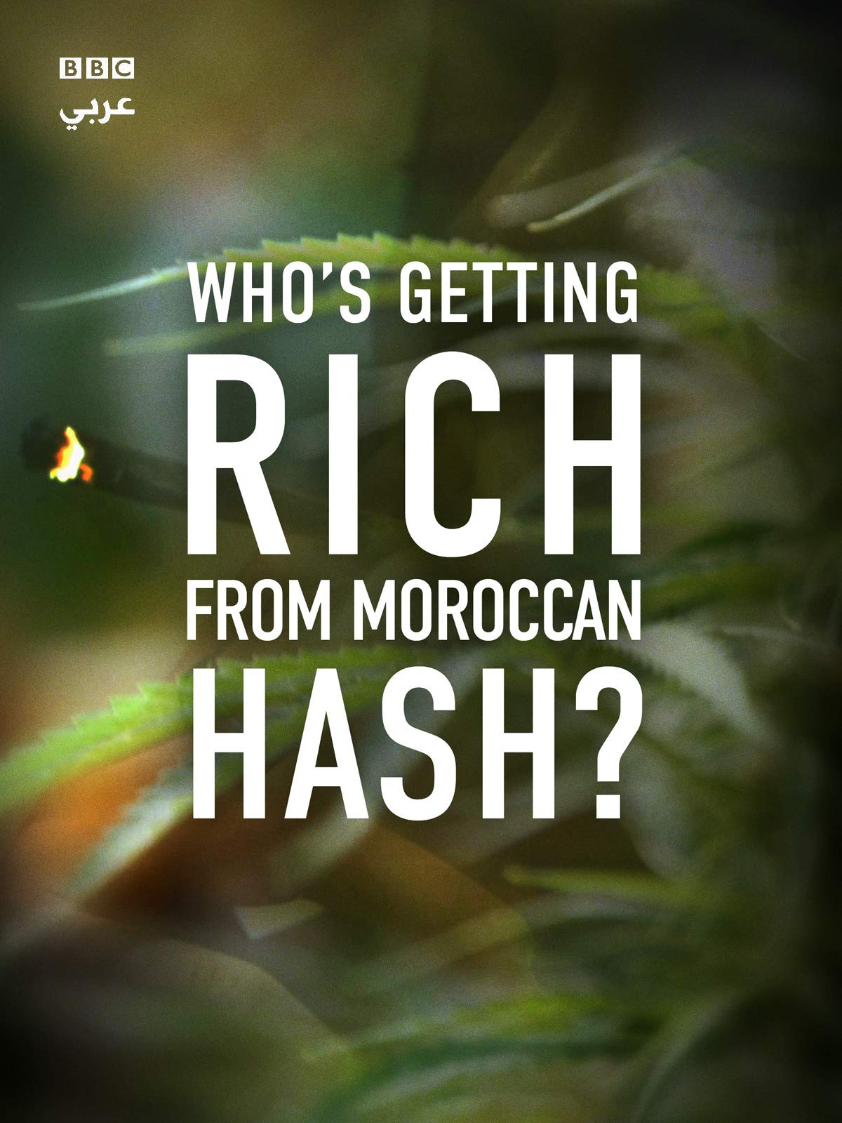     Who's Getting Rich from Moroccan Hash?